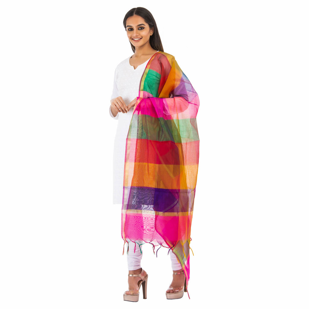Multicolor Geometric Patterned Dupatta